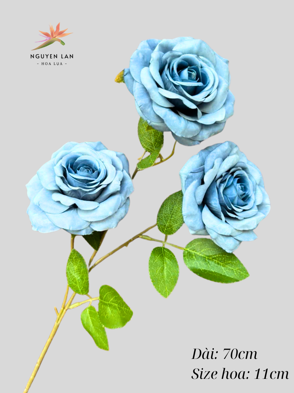 Hồng Khô - Ảnh 9