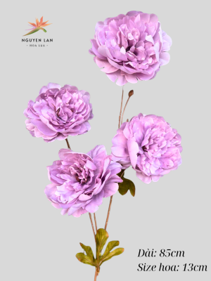 Mẫu đơn