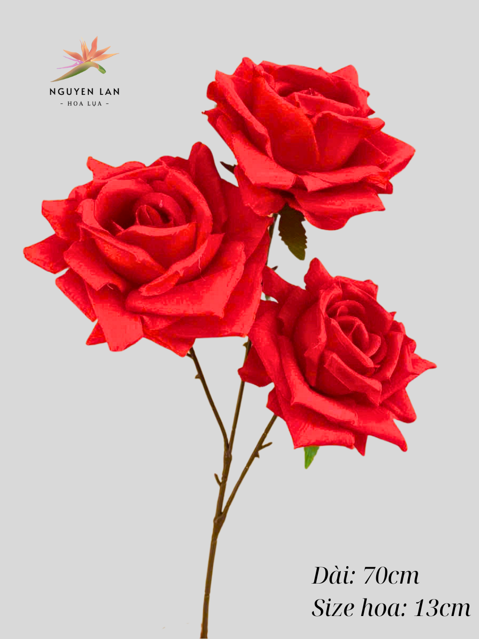 Hồng Xoăn Đại - Ảnh 3