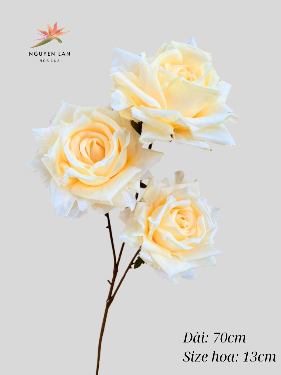Hồng Xoăn Đại - Ảnh 8