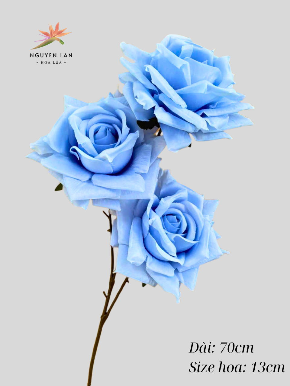 Hồng Xoăn Đại - Ảnh 9