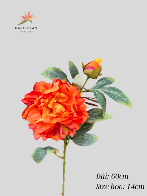 Mẫu đơn 3D