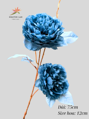 Mẫu đơn râu