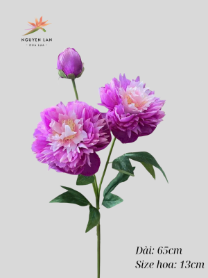 Mẫu đơn tăm