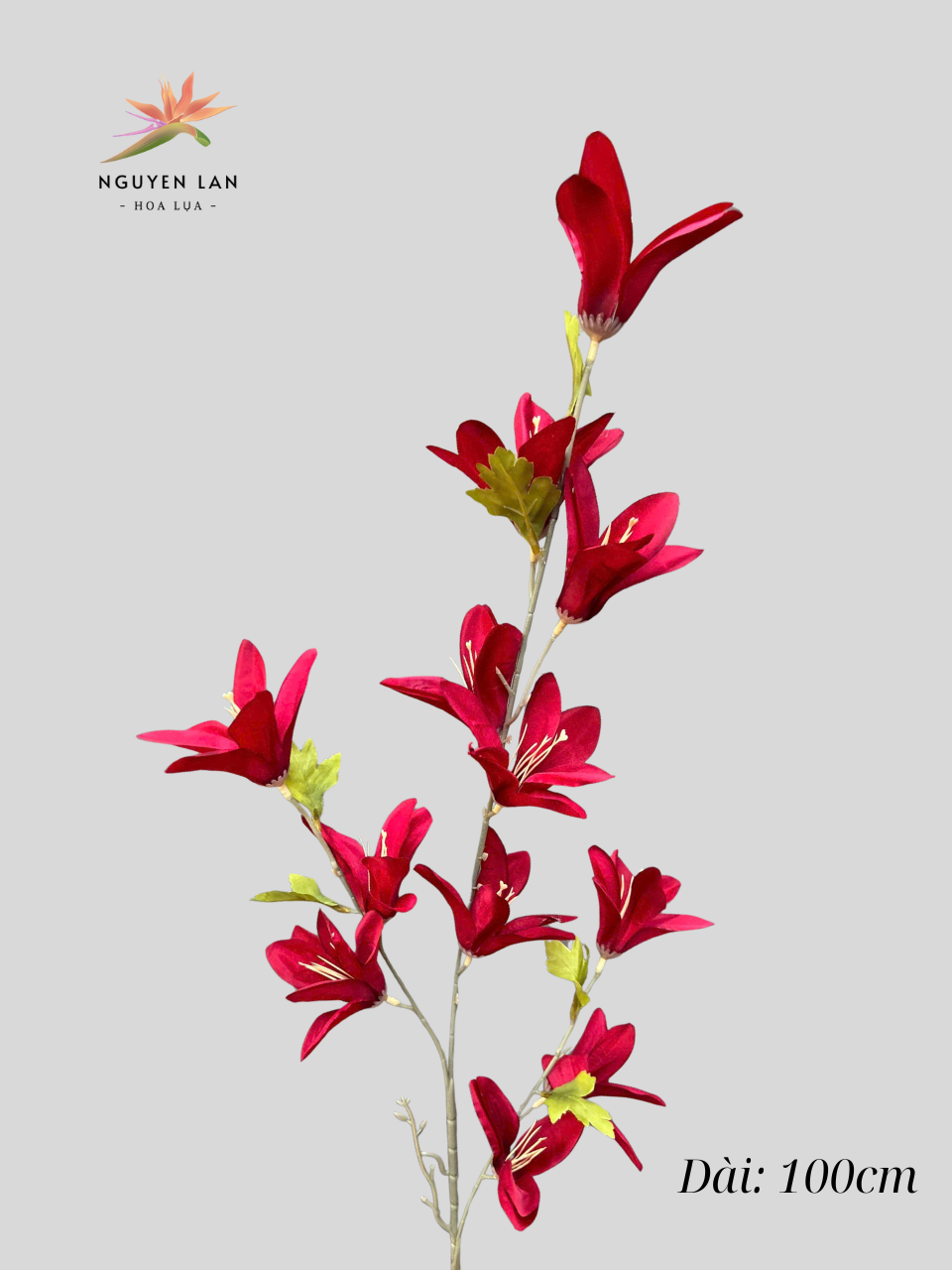 Ngọc Lan - Ảnh 3