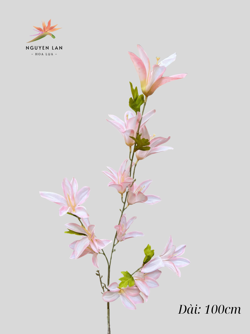 Ngọc Lan - Ảnh 4