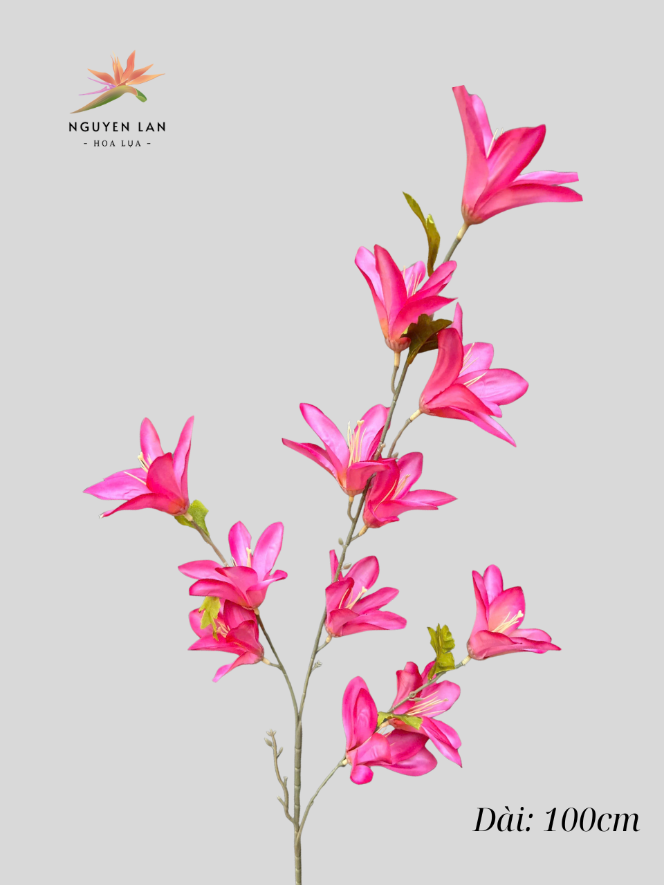 Ngọc Lan - Ảnh 5
