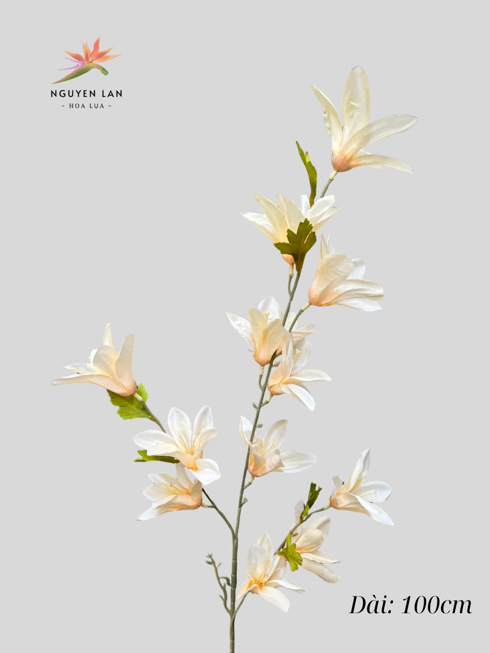 Ngọc Lan - Ảnh 6