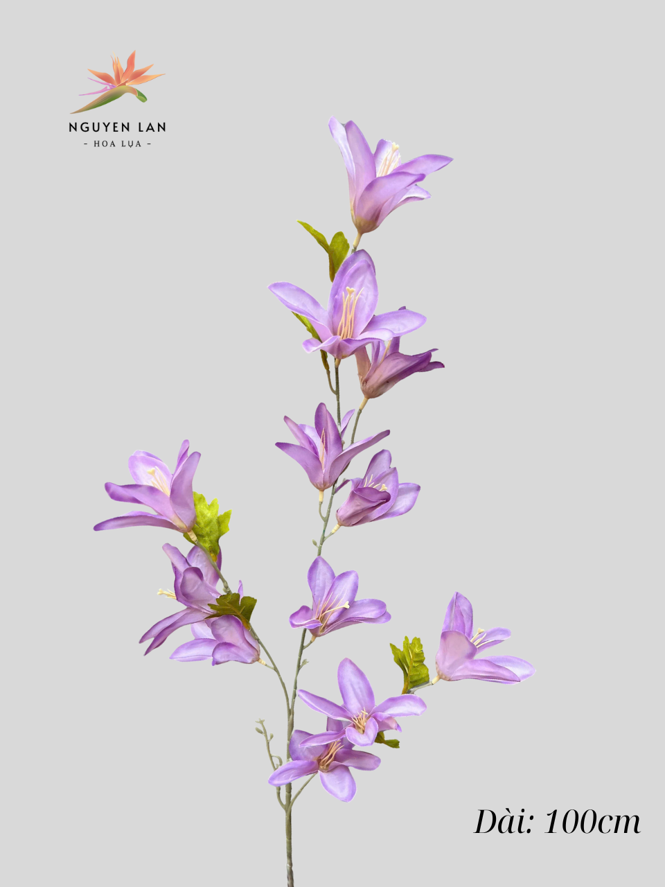 Ngọc Lan - Ảnh 7