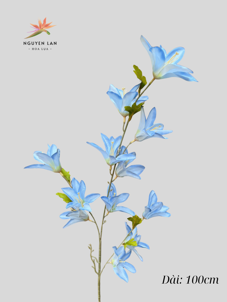 Ngọc Lan - Ảnh 9