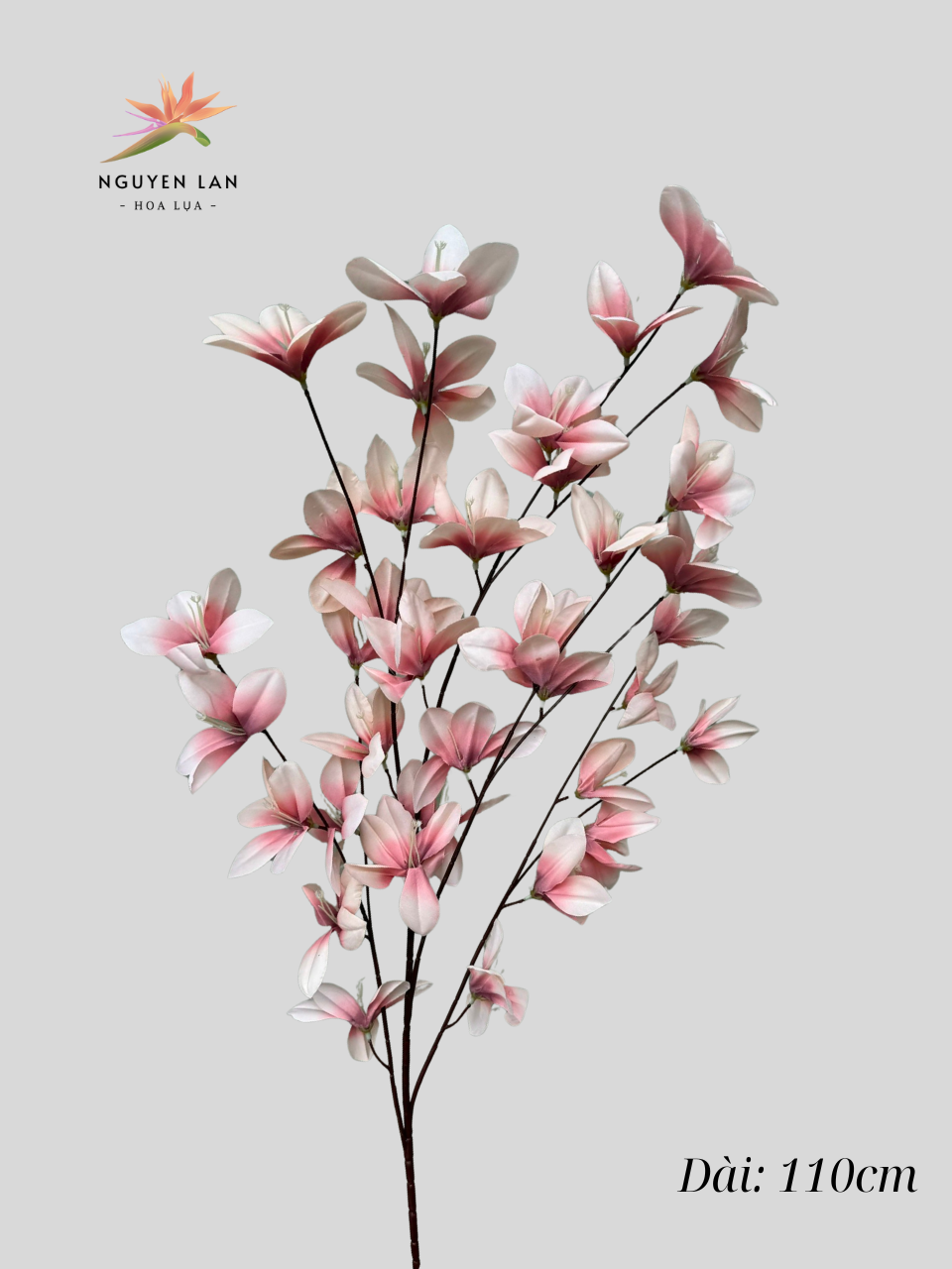 Ngọc Lan - Ảnh 12