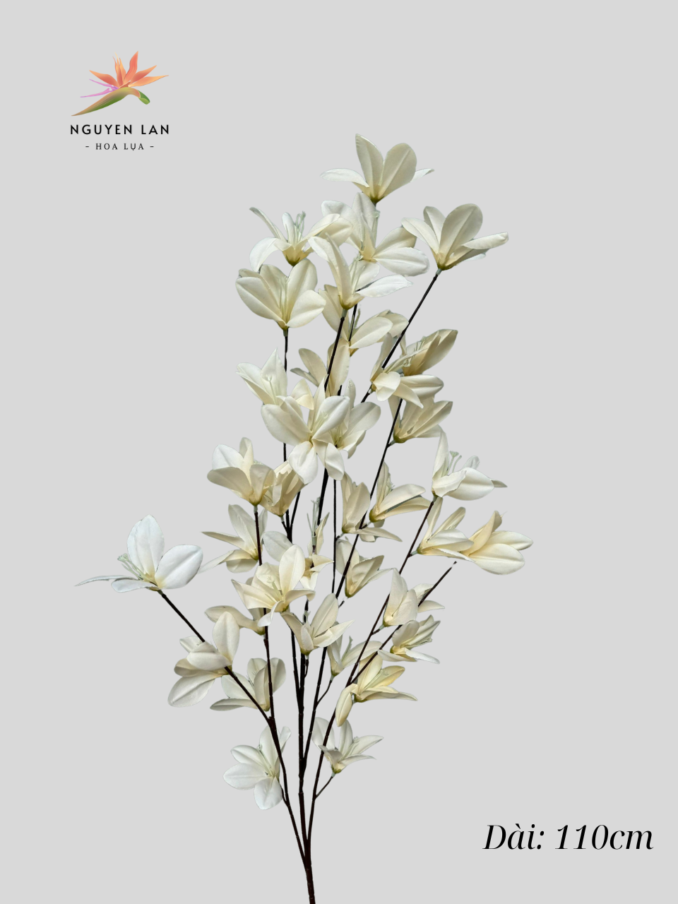 Ngọc Lan - Ảnh 14