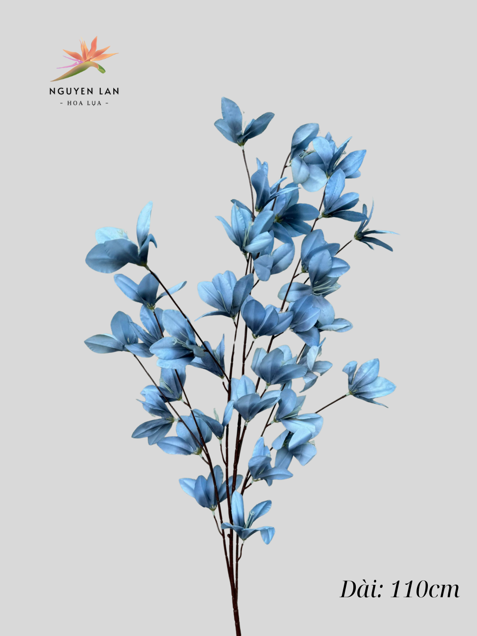 Ngọc Lan - Ảnh 19