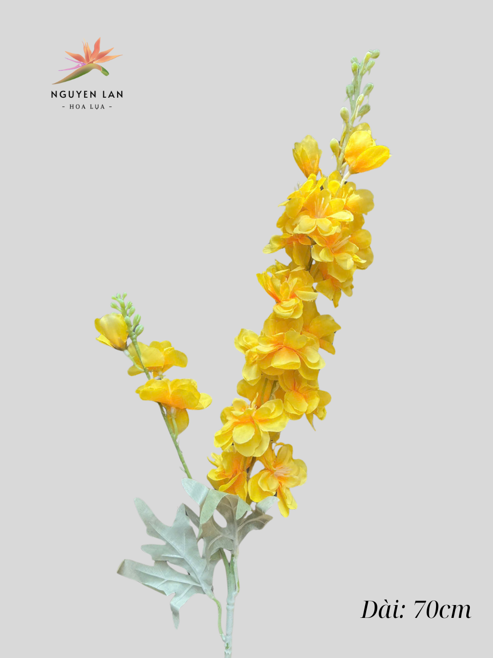 Phi Yến bé - Ảnh 11
