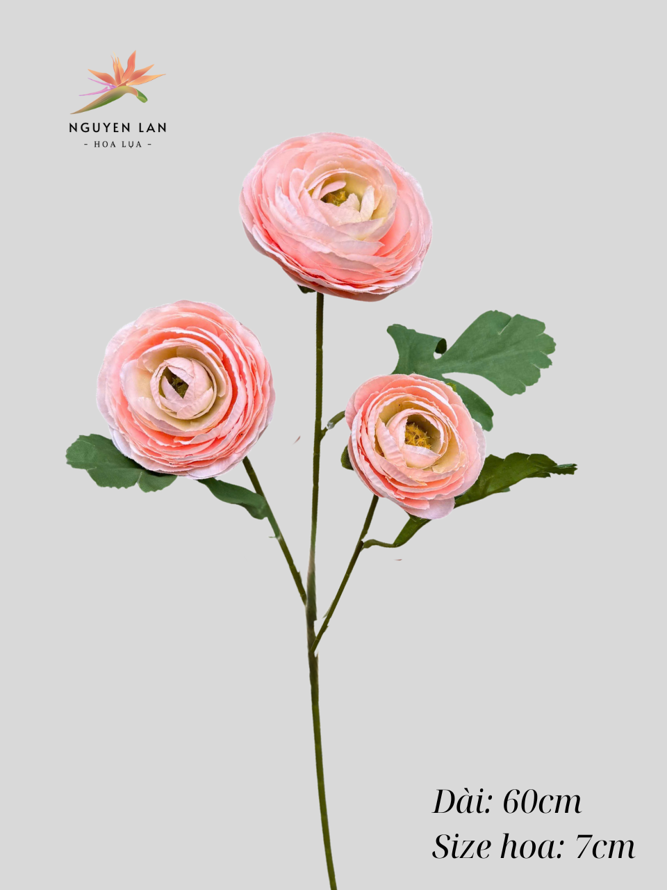 Trà Mao Lương - Ảnh 5