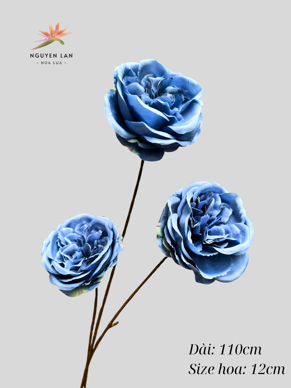 Trà Ohara - Ảnh 18