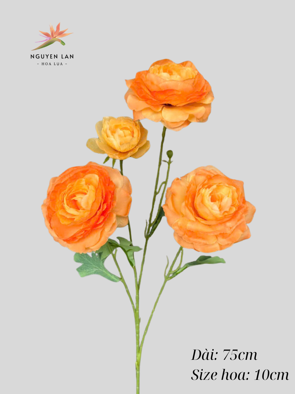 Trà Tơ - Ảnh 2
