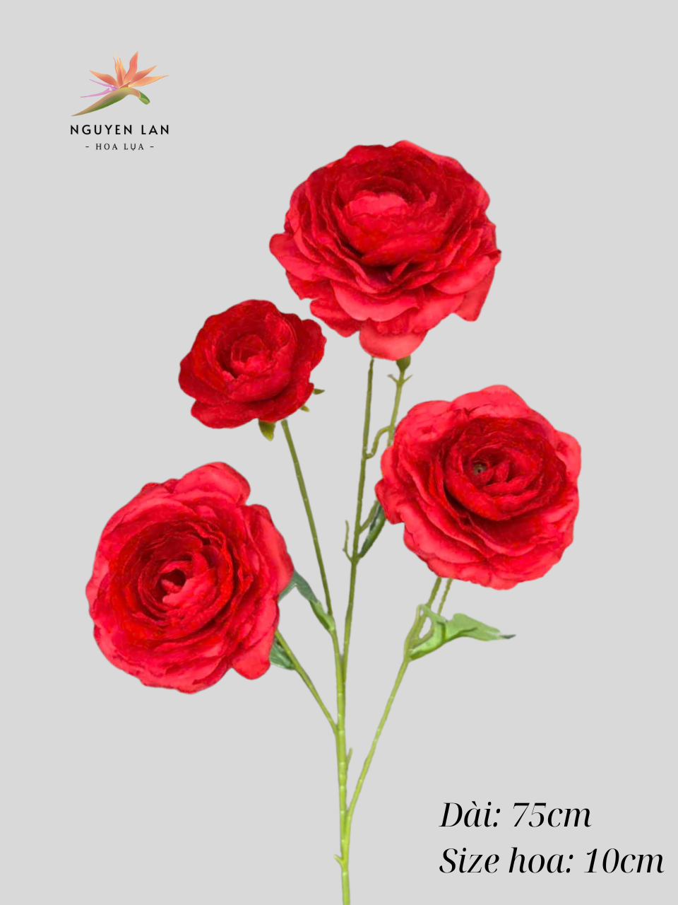 Trà Tơ - Ảnh 3
