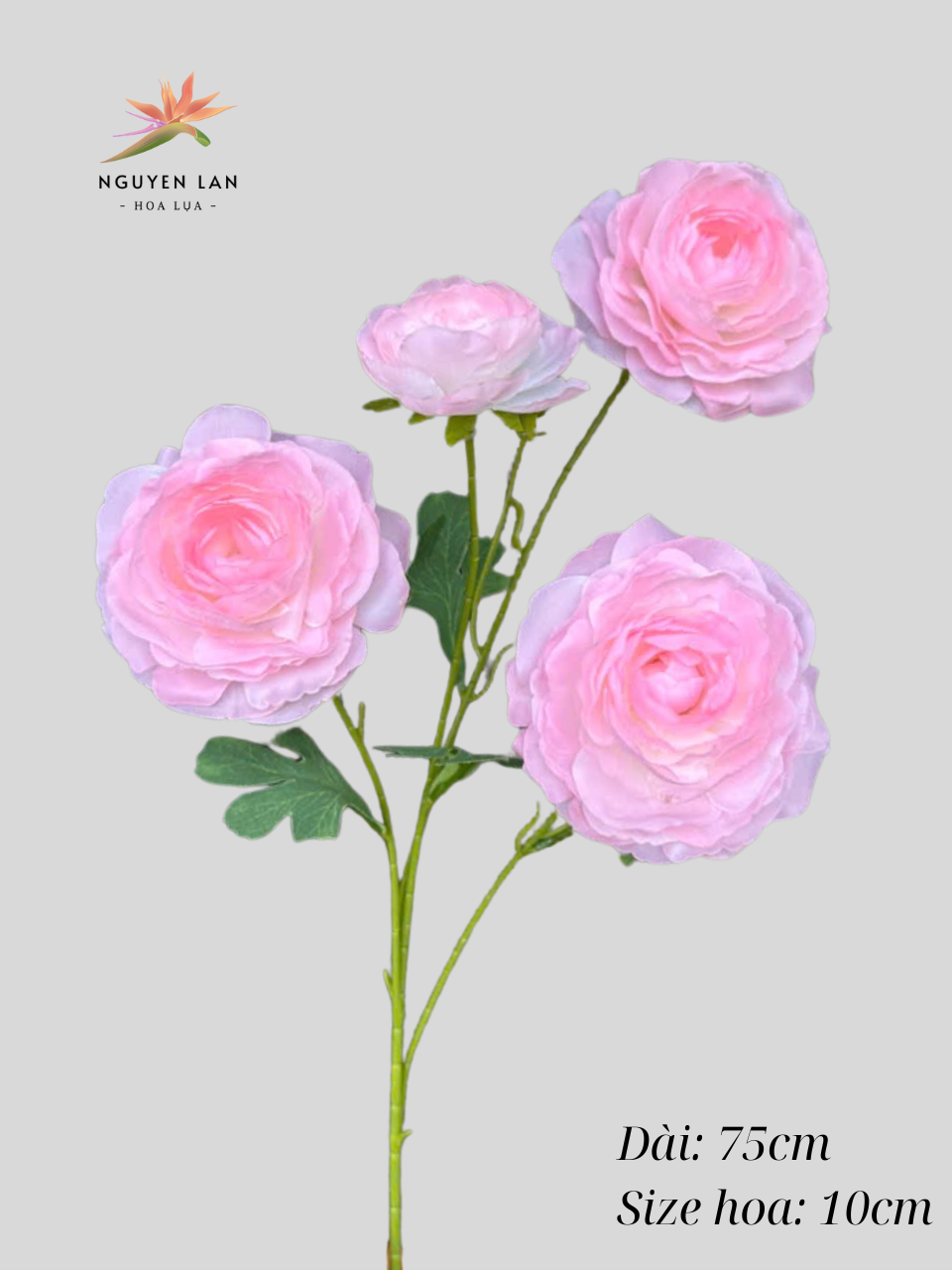 Trà Tơ - Ảnh 4