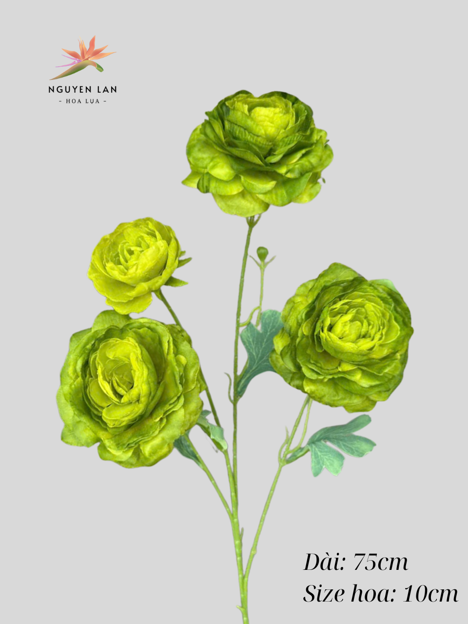 Trà Tơ - Ảnh 8