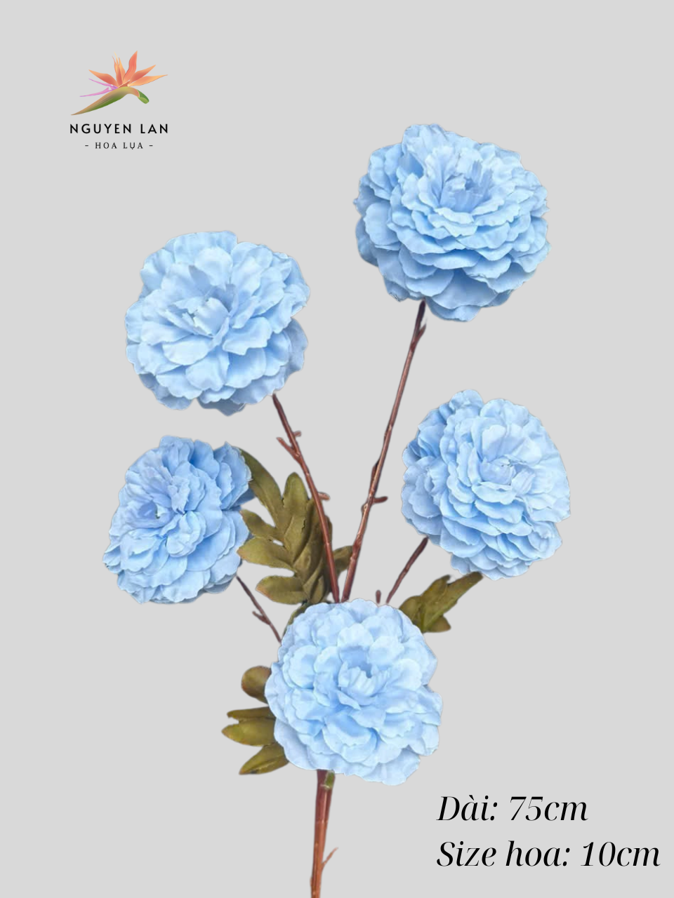 Trà Xoăn - Ảnh 14