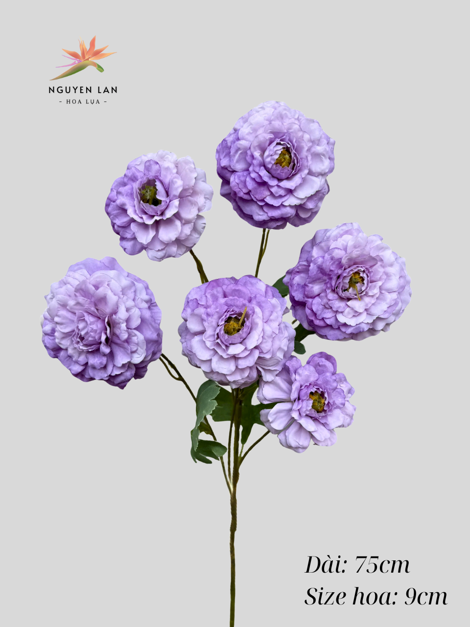 Trà Xoăn - Ảnh 21