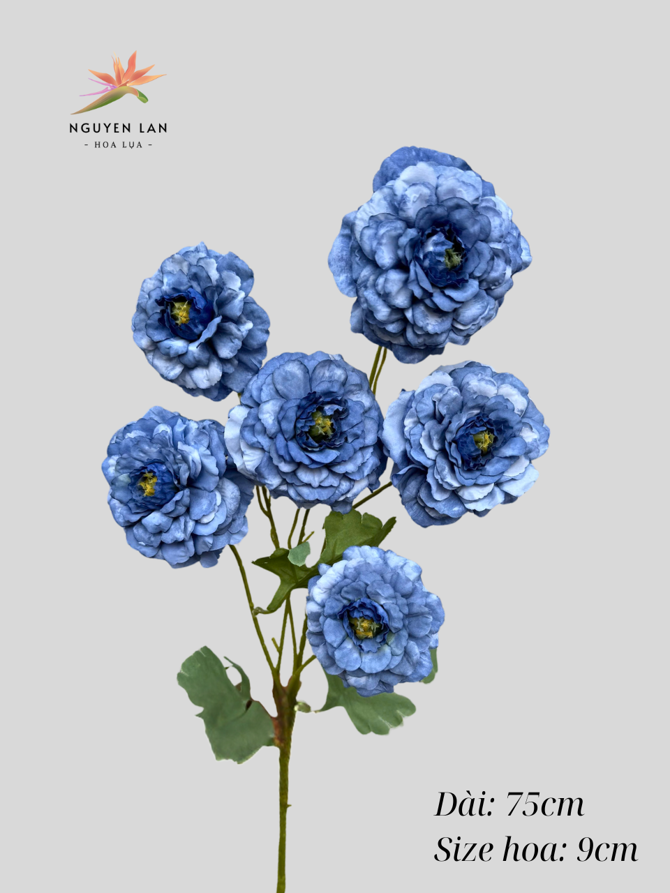 Trà Xoăn - Ảnh 25