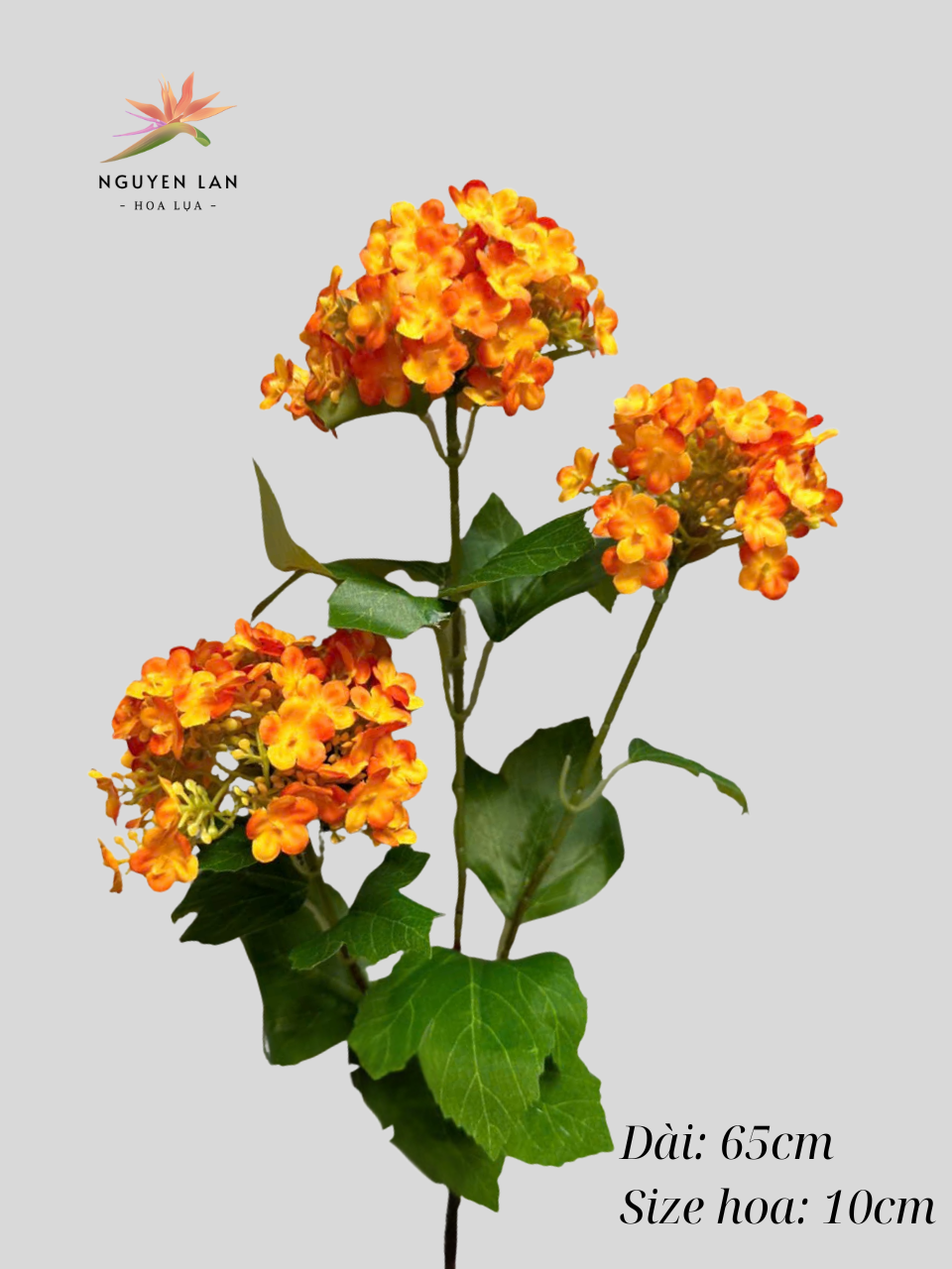 Tú cầu 3D - Ảnh 2