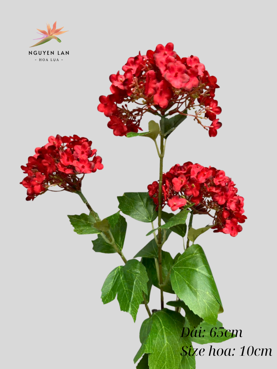 Tú cầu 3D - Ảnh 3