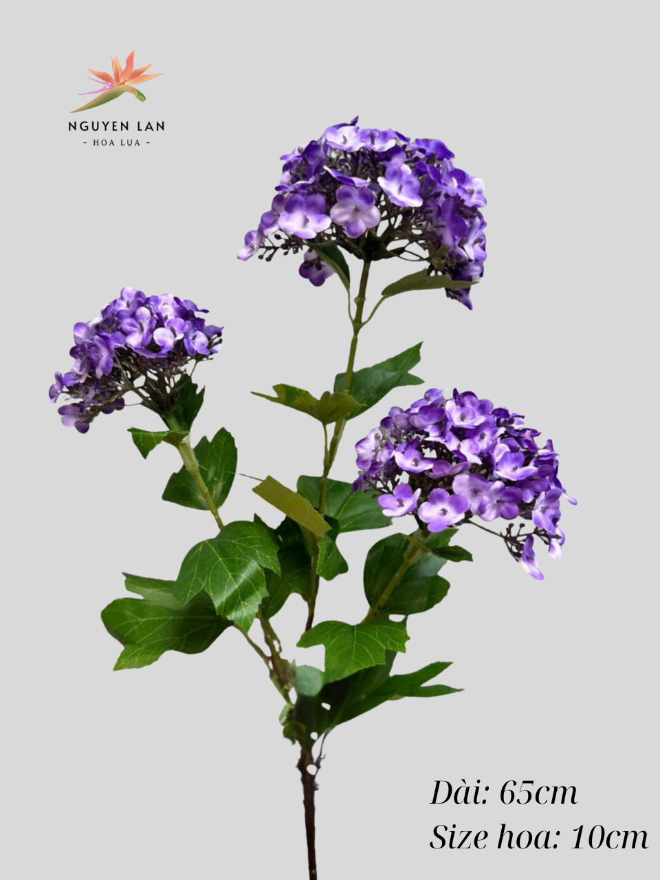 Tú cầu 3D - Ảnh 6