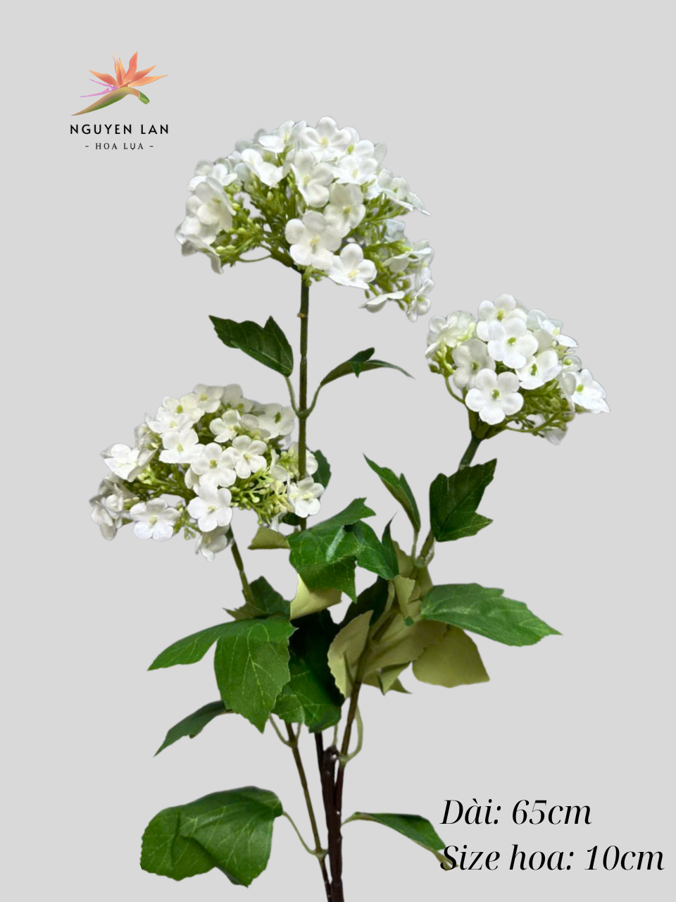 Tú cầu 3D - Ảnh 7