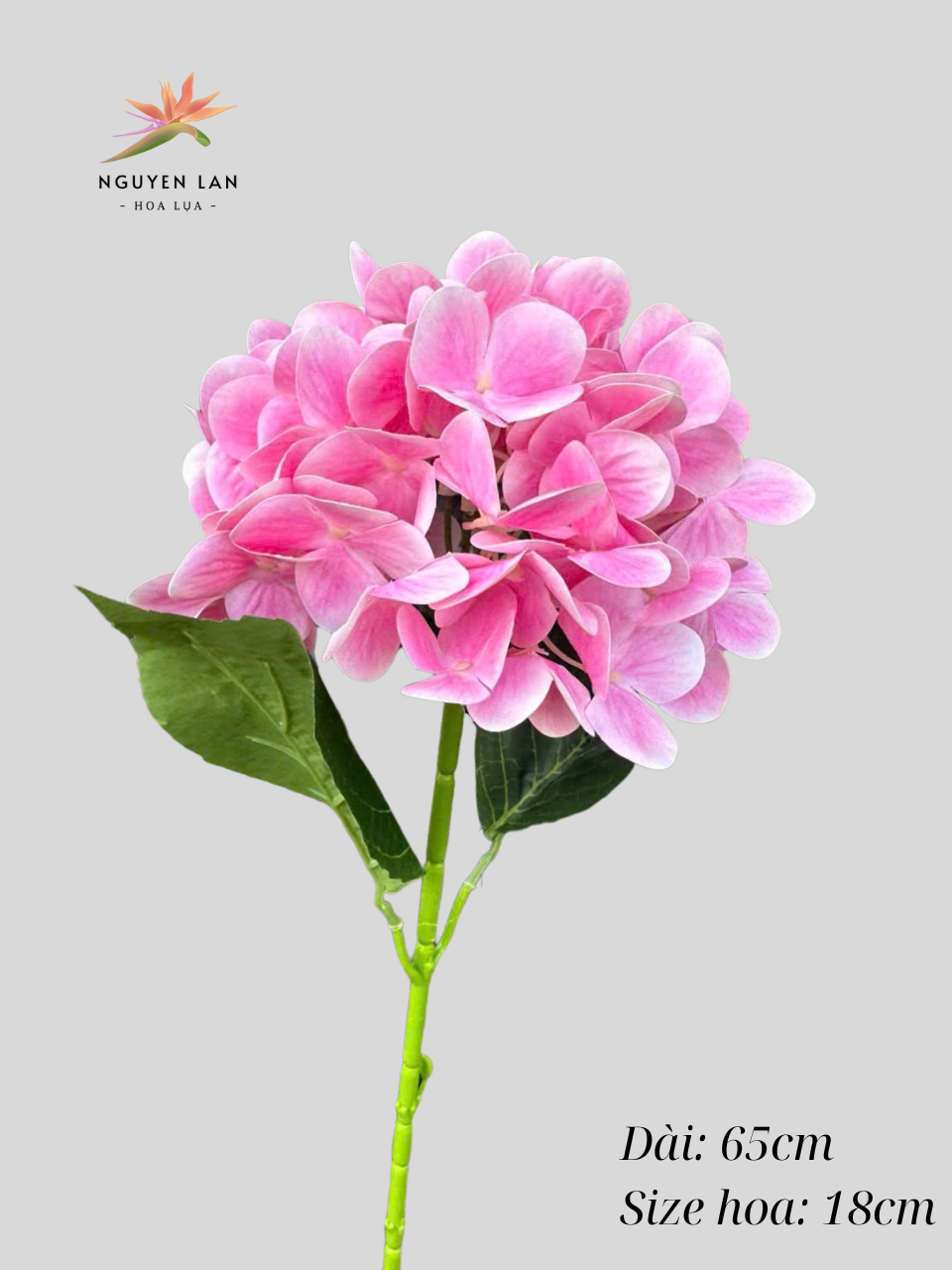 Tú cầu cao su - Ảnh 3