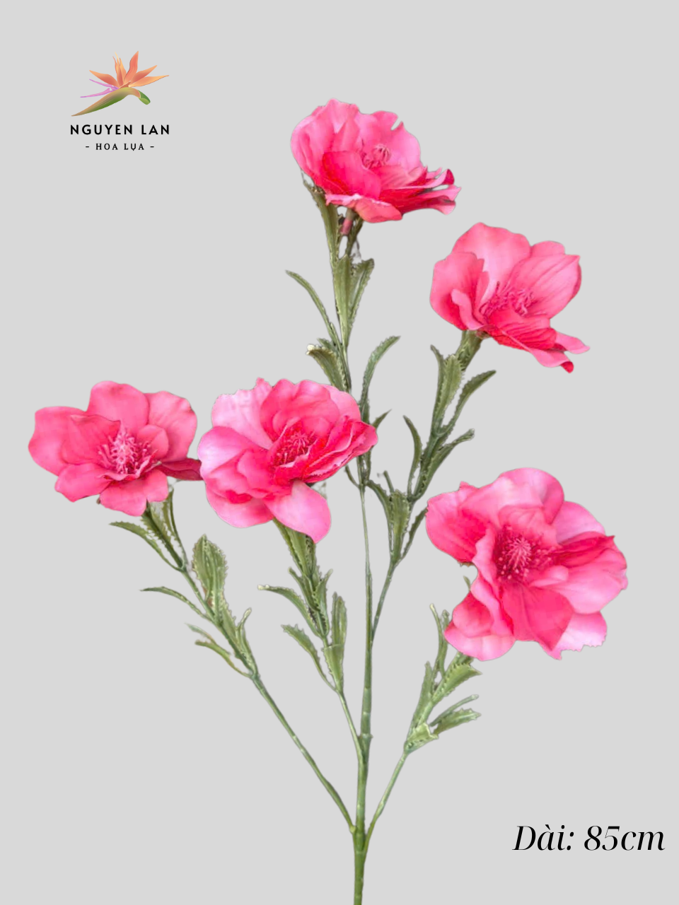 Hoa Thủy Tiên - Ảnh 3