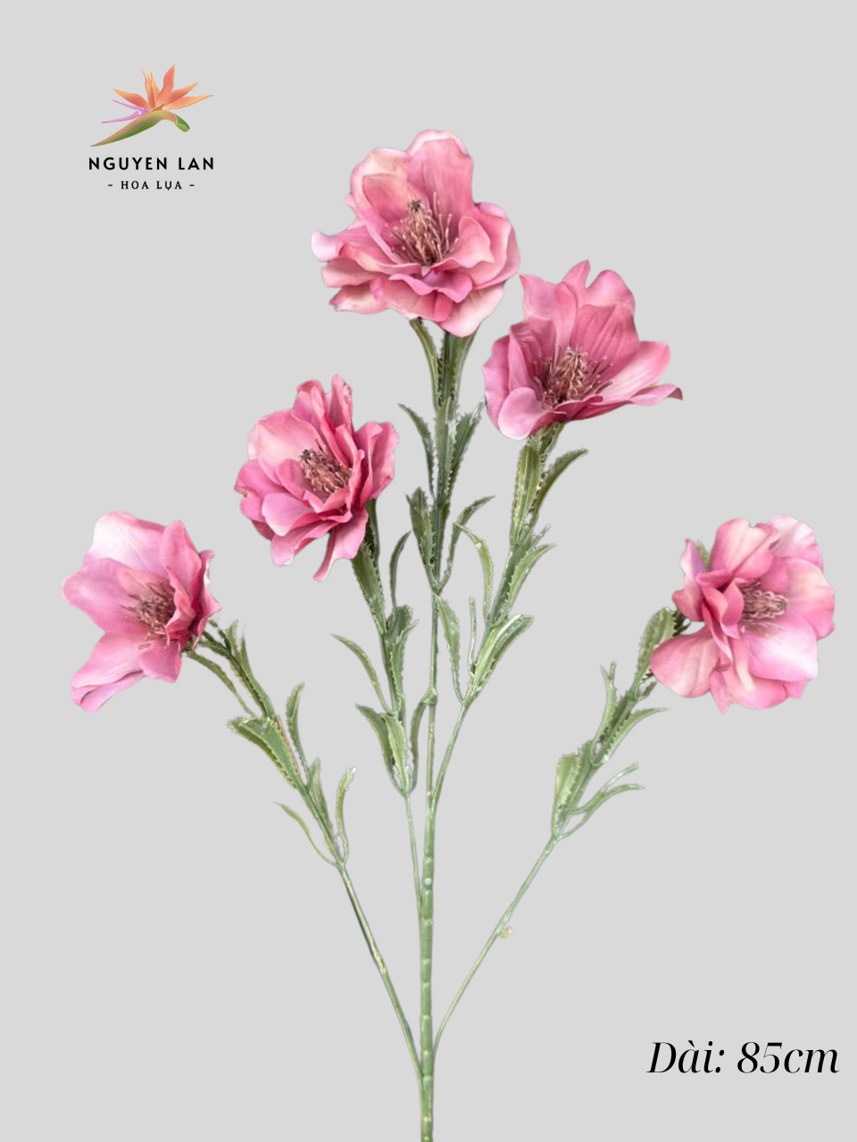 Hoa Thủy Tiên - Ảnh 4