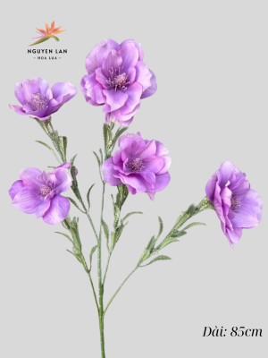 Hoa Thủy Tiên
