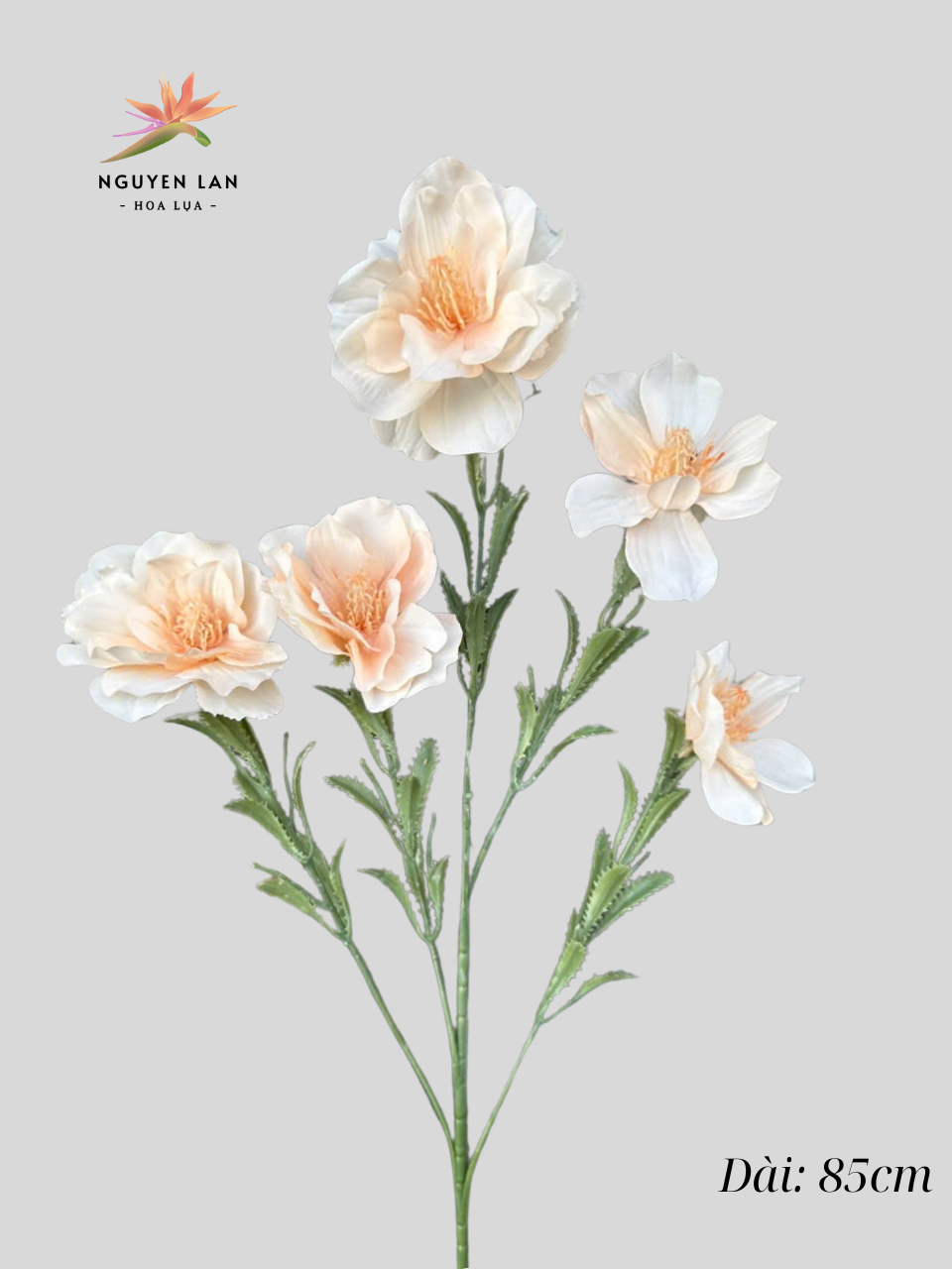 Hoa Thủy Tiên - Ảnh 8