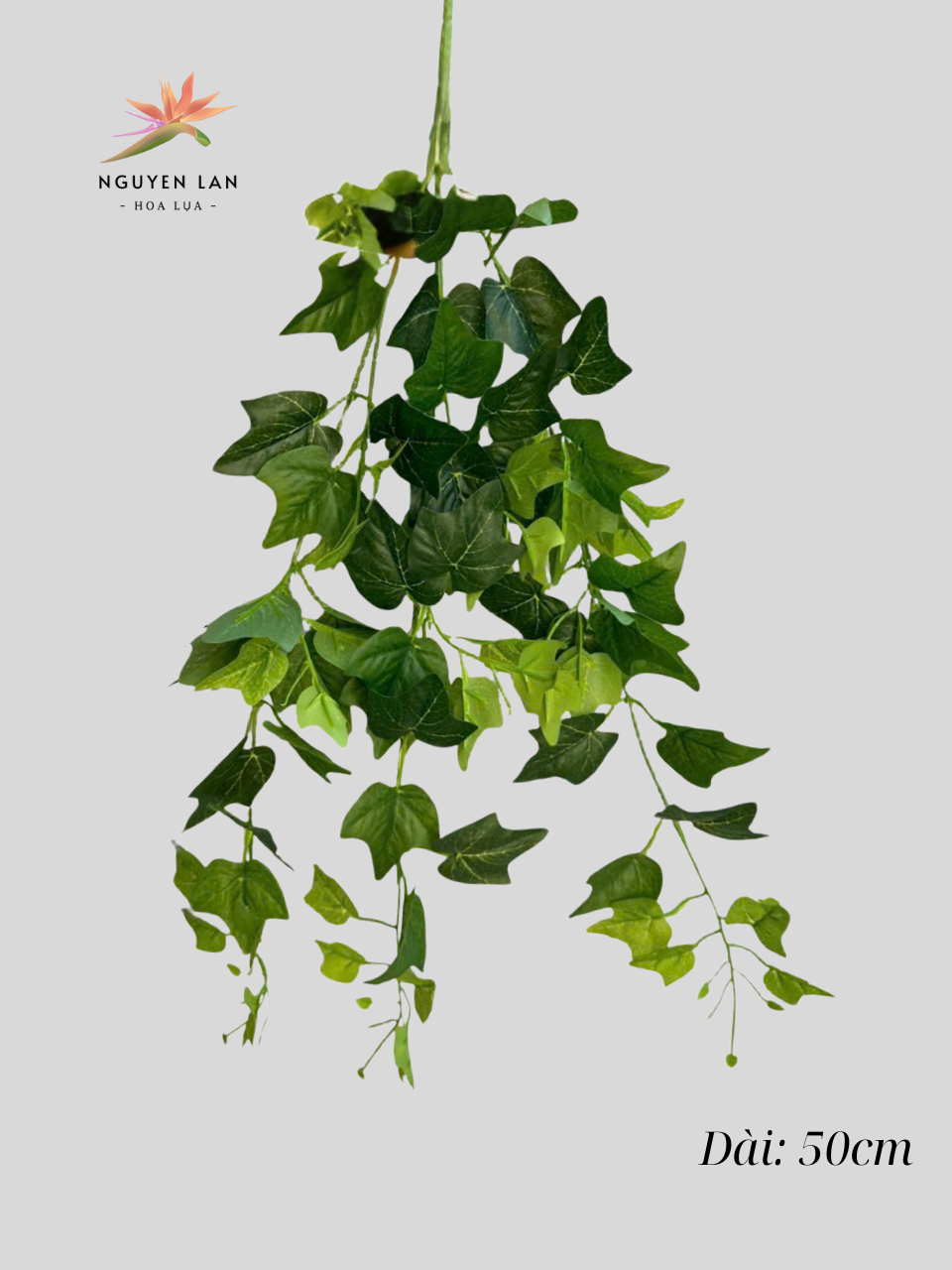 Rủ 3 nhánh - Ảnh 4