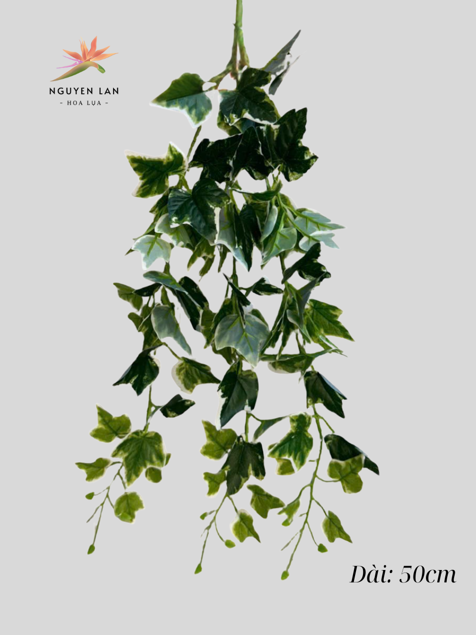 Rủ 3 nhánh - Ảnh 6