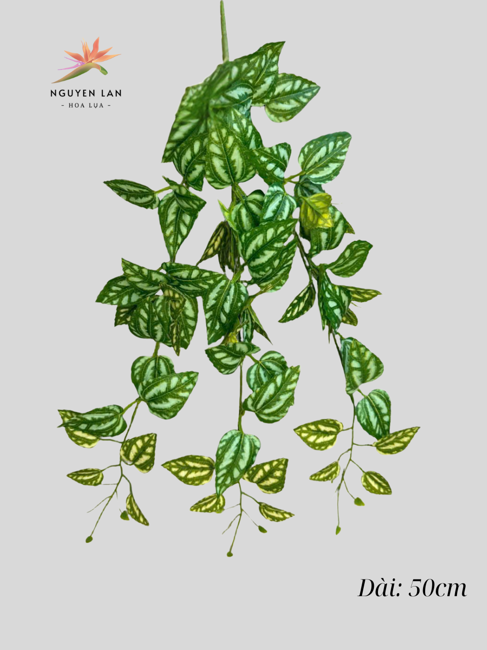 Rủ 3 nhánh - Ảnh 2