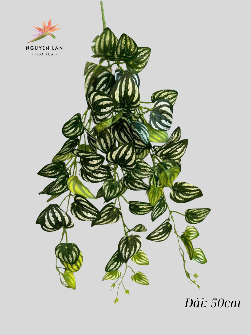 Rủ 3 nhánh - Ảnh 7