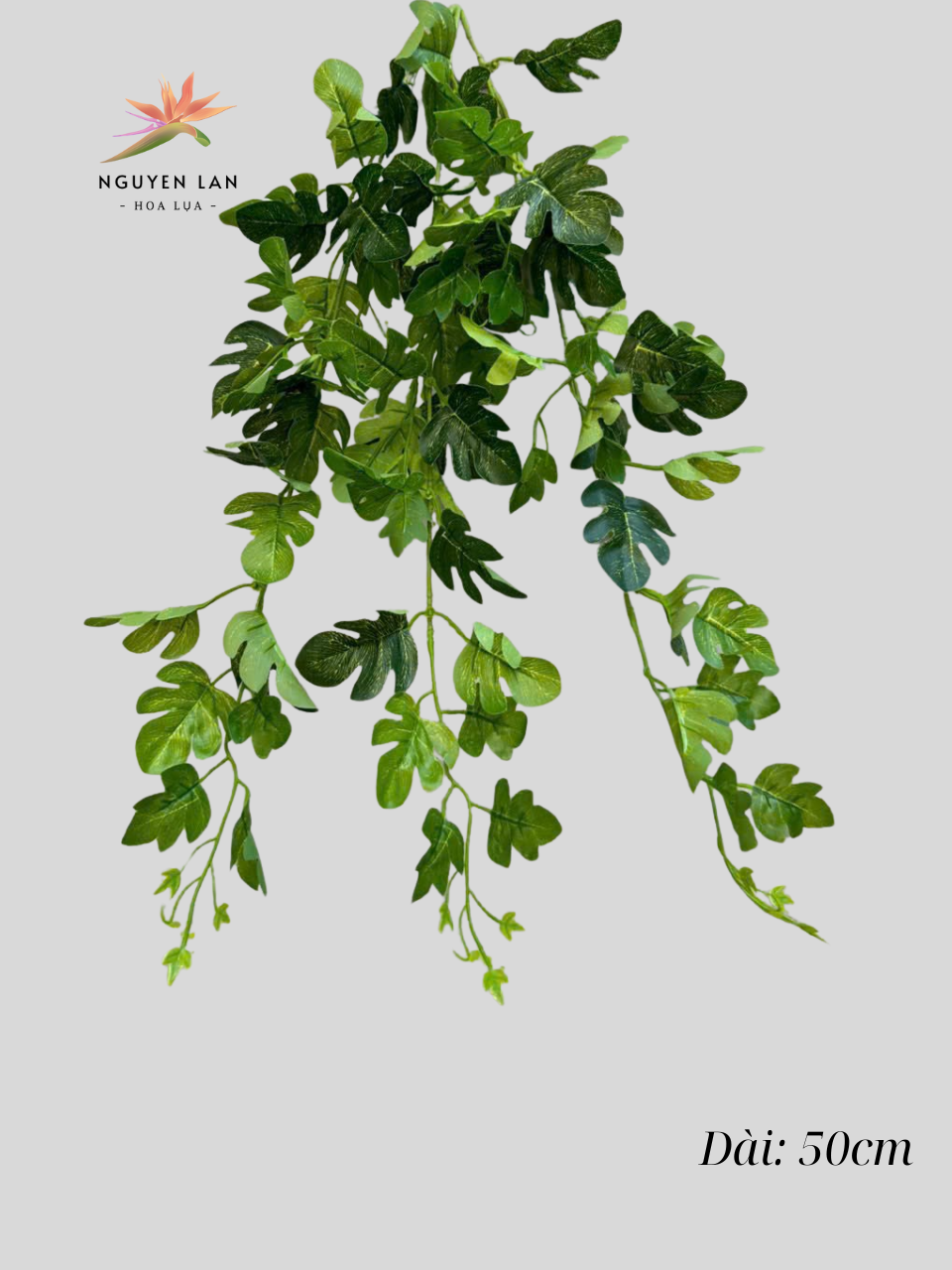 Rủ 3 nhánh - Ảnh 8