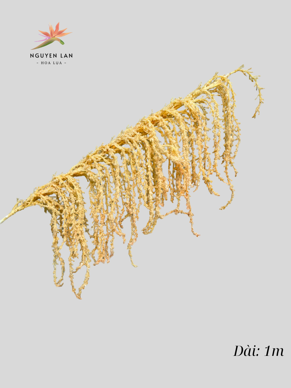 Rủ dền cao su - Ảnh 5