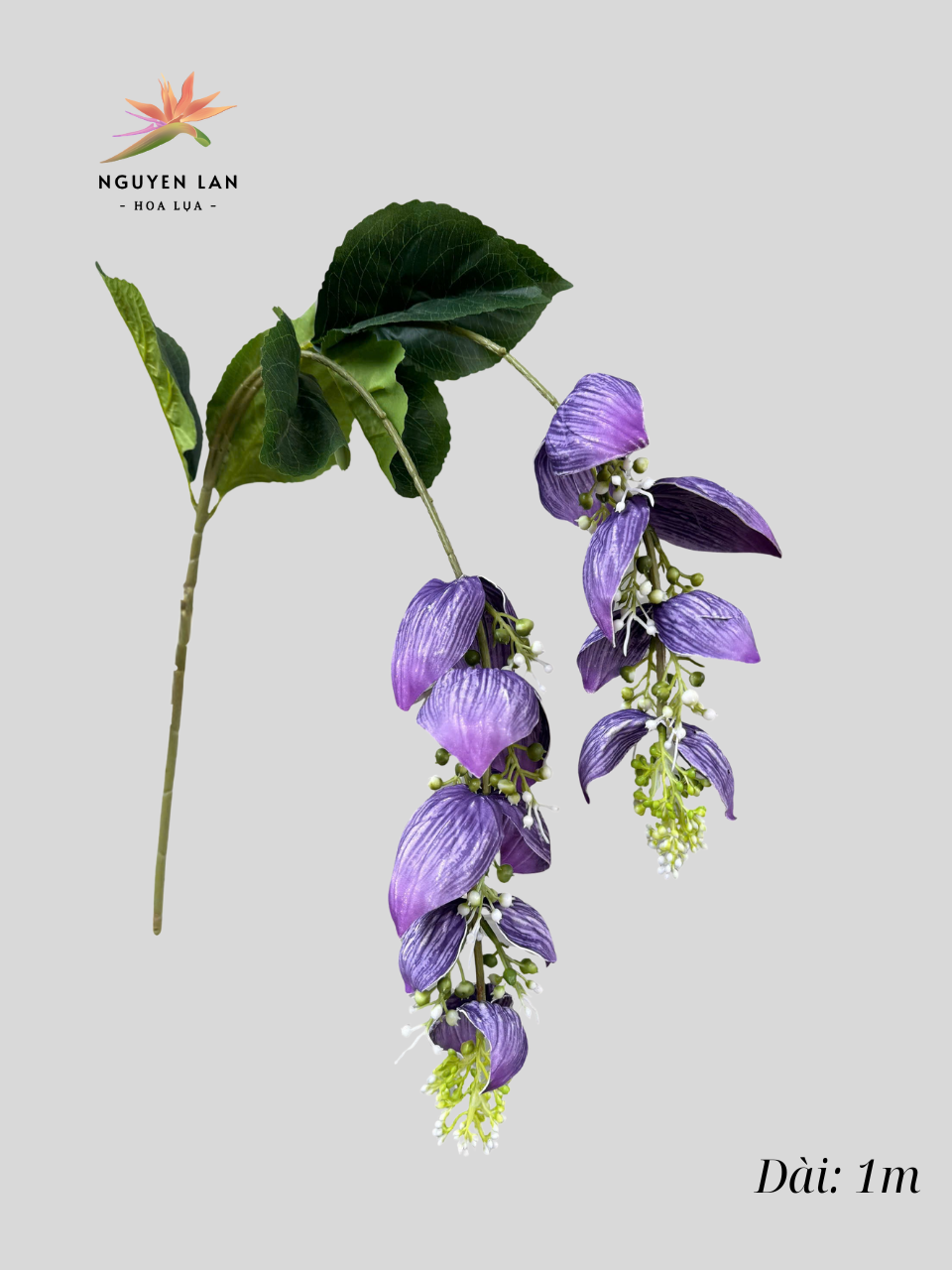 Rủ Đèn Sen - Ảnh 5