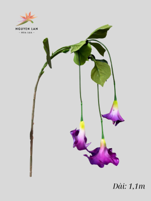 Rủ Loa Kèn
