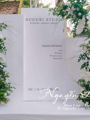 Cổng Studio trụ đôi lan hồ điệp - CS005