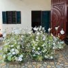 Khóm anh túc trang trí chân Cổng Cưới - KTCC001
