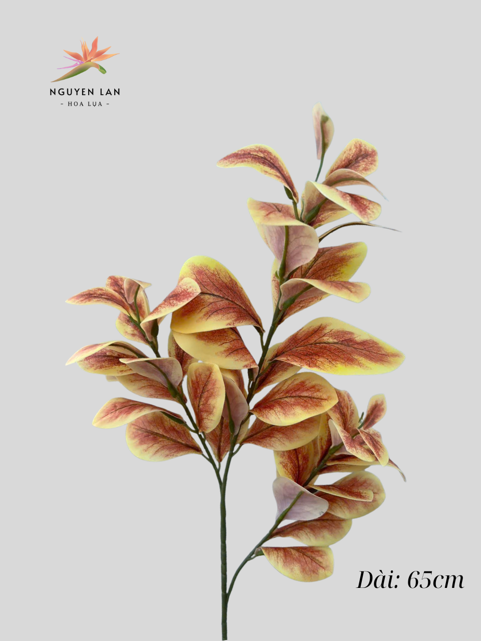 Lá Chanh - Ảnh 3