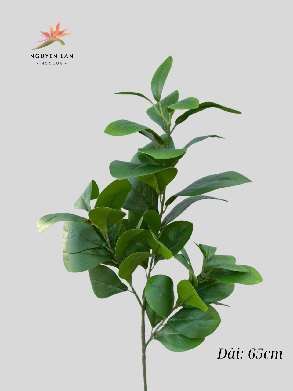 Lá Chanh - Ảnh 7