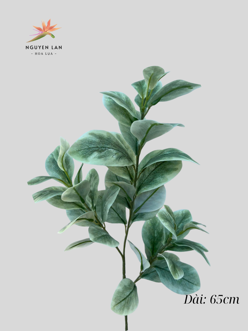 Lá Chanh - Ảnh 8