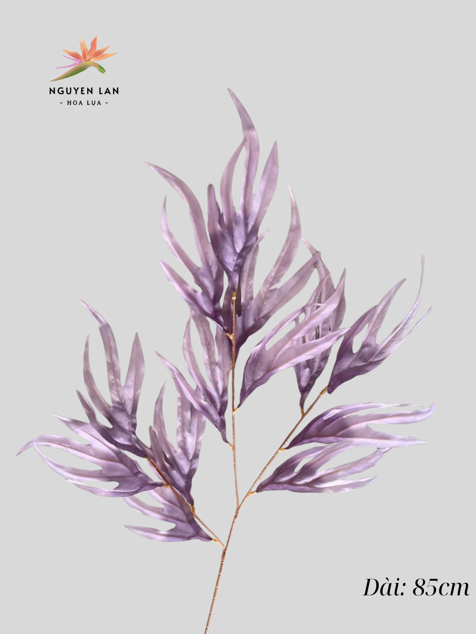 Phật Thủ - Ảnh 3